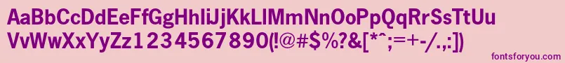 NewspapercBold Font – Purple Fonts on Pink Background