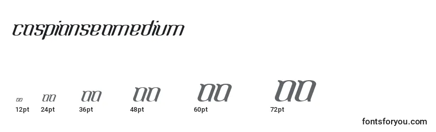 Размеры шрифта CaspianseaMedium