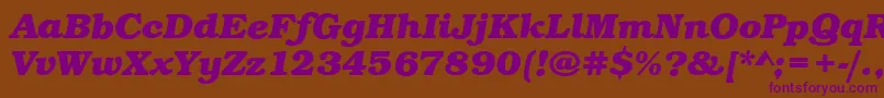 BookBoldItalic Font – Purple Fonts on Brown Background