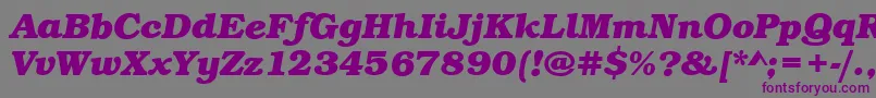 フォントBookBoldItalic – 紫色のフォント、灰色の背景
