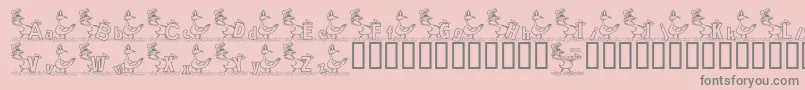 KgDucks2 Font – Gray Fonts on Pink Background