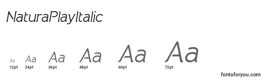 Размеры шрифта NaturaPlayItalic