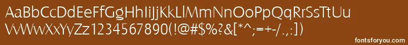 フォントCastletlig – 茶色の背景に白い文字