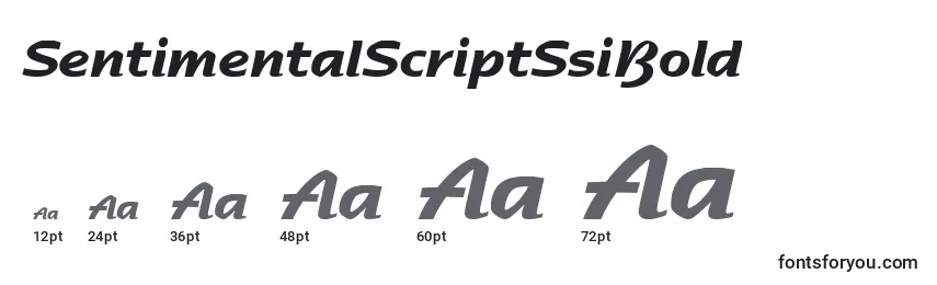 Размеры шрифта SentimentalScriptSsiBold