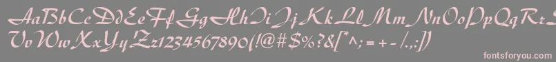 DiskusltstdBold Font – Pink Fonts on Gray Background