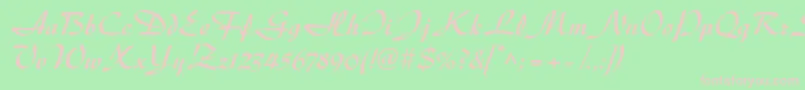 DiskusltstdBold Font – Pink Fonts on Green Background