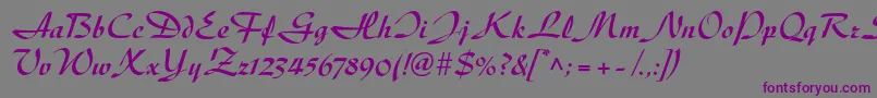 Шрифт DiskusltstdBold – фиолетовые шрифты на сером фоне