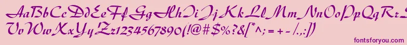 DiskusltstdBold Font – Purple Fonts on Pink Background