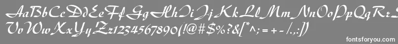 Шрифт DiskusltstdBold – белые шрифты на сером фоне