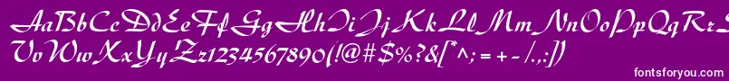 DiskusltstdBold Font – White Fonts on Purple Background