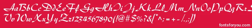 DiskusltstdBold Font – White Fonts on Red Background