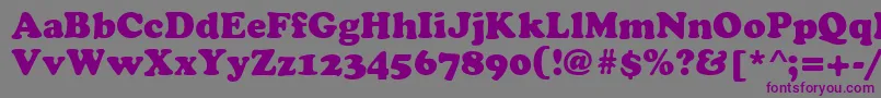 Czcionka CyrilliccooperNormal – fioletowe czcionki na szarym tle