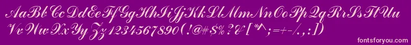 Commercialscrd Font – Pink Fonts on Purple Background