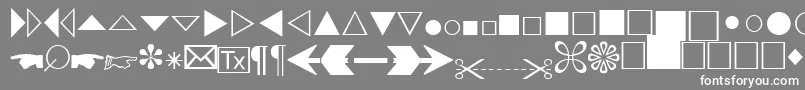 AbacusthreesskRegular Font – White Fonts on Gray Background