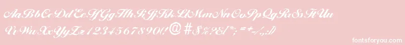 BallantinesantiqueHeavyRegular Font – White Fonts on Pink Background