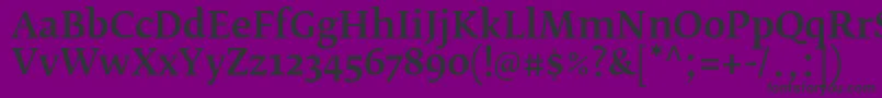 FedraserifbproMedium Font – Black Fonts on Purple Background
