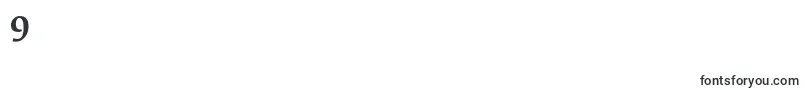 FedraserifbproMedium Font – Fonts for Digit 9