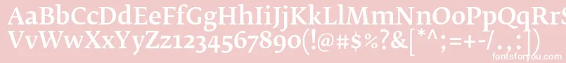 フォントFedraserifbproMedium – ピンクの背景に白い文字