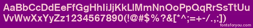 BasiccommercialLtBold Font – Pink Fonts on Purple Background