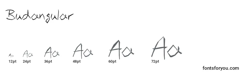 Размеры шрифта Budangular