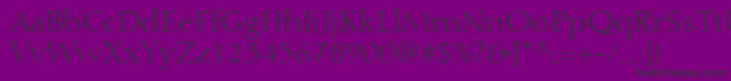 DiotimaLtRoman Font – Black Fonts on Purple Background