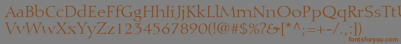 DiotimaLtRoman Font – Brown Fonts on Gray Background