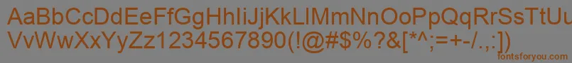 ArialKoi8 Font – Brown Fonts on Gray Background