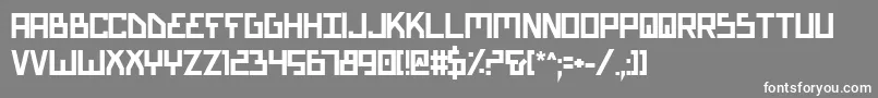 BionicTypeBold Font – White Fonts on Gray Background