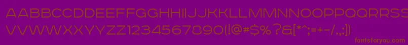 RoadradioThin Font – Brown Fonts on Purple Background