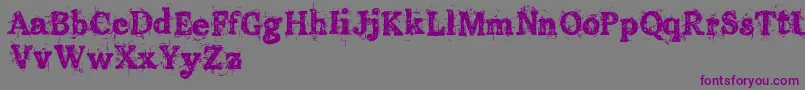 OldPrintingPressFreeVersion-Schriftart – Violette Schriften auf grauem Hintergrund