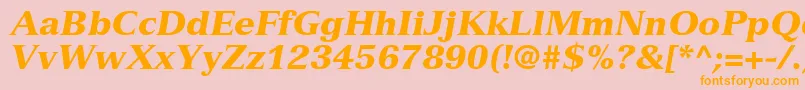 NuanceBlackSsiBlackItalic Font – Orange Fonts on Pink Background