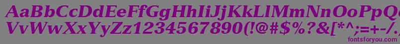 NuanceBlackSsiBlackItalic Font – Purple Fonts on Gray Background