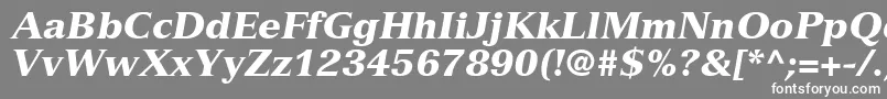 NuanceBlackSsiBlackItalic Font – White Fonts on Gray Background