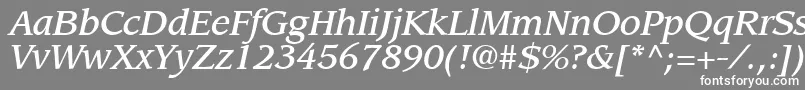 フォントAdvisorMediumSsiMediumItalic – 灰色の背景に白い文字