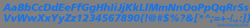 AgForeignerBoldItalic-fontti – siniset fontit harmaalla taustalla