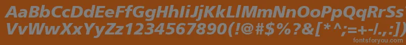 Czcionka AgForeignerBoldItalic – szare czcionki na brązowym tle