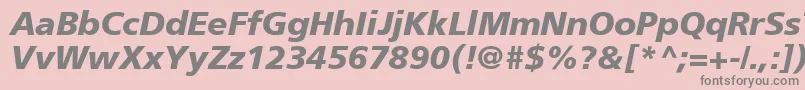 フォントAgForeignerBoldItalic – ピンクの背景に灰色の文字