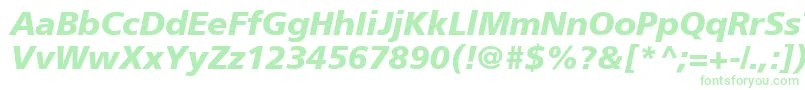 AgForeignerBoldItalic Font – Green Fonts on White Background
