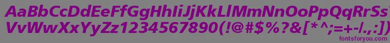 AgForeignerBoldItalic Font – Purple Fonts on Gray Background