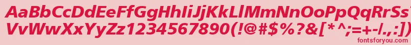 AgForeignerBoldItalic Font – Red Fonts on Pink Background
