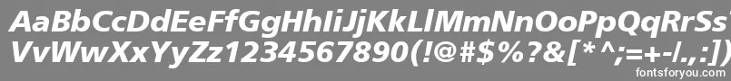 AgForeignerBoldItalic Font – White Fonts on Gray Background