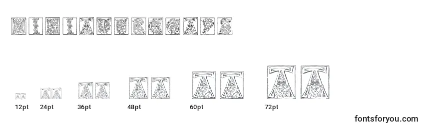 Miniaturecaps Font Sizes