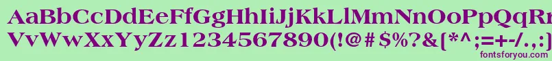 AmericanastdExtrabold Font – Purple Fonts on Green Background
