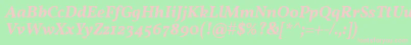 VollkornSemiboldItalic Font – Pink Fonts on Green Background