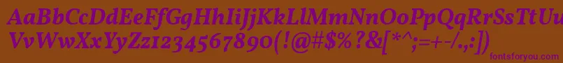 VollkornSemiboldItalic Font – Purple Fonts on Brown Background