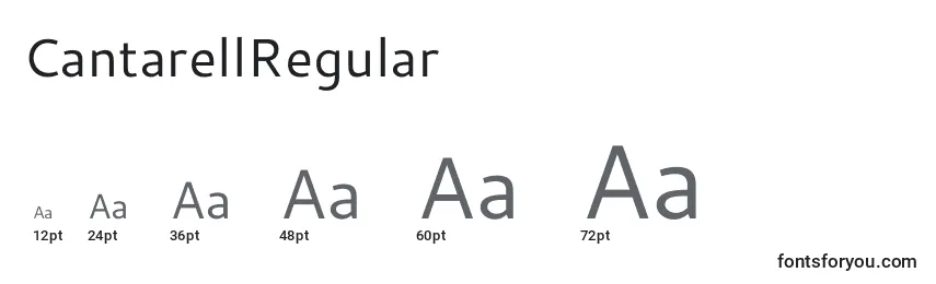 Размеры шрифта CantarellRegular