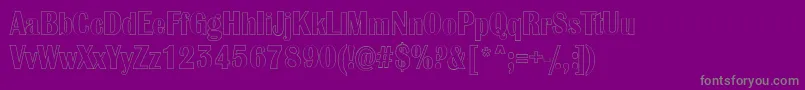 AlbionicnrotlRegular Font – Gray Fonts on Purple Background