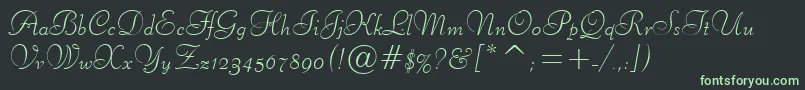 フォントLibertyTl – 黒い背景に緑の文字
