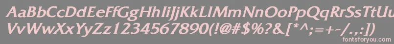 FritzquadrataBoldItalic Font – Pink Fonts on Gray Background
