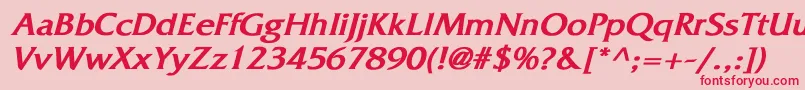 FritzquadrataBoldItalic Font – Red Fonts on Pink Background